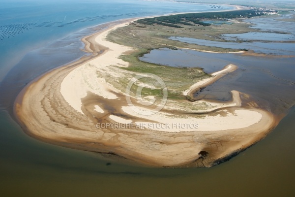 Vue aérienne de la Pointe d Arçais, La faute-sur-Mer, Vendée