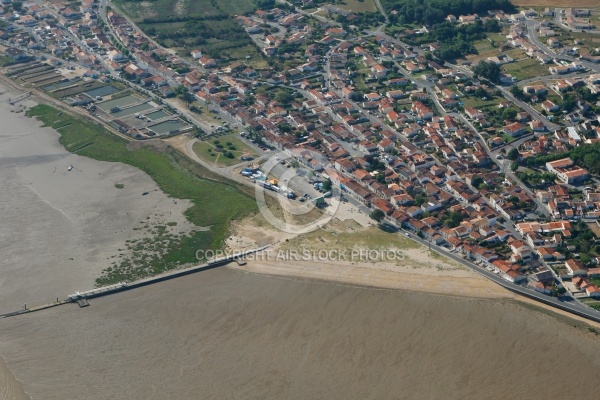 vue aérienne de Port-des-Barques , Charente-Maritime 17