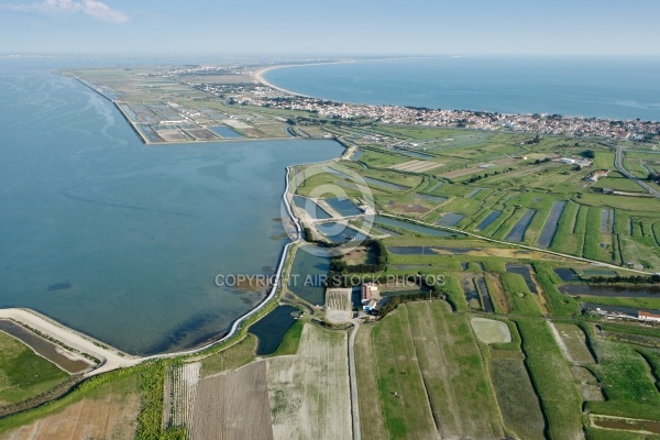 Vue aérienne de Île de Noirmoutier, La Guérinière , La tresson 