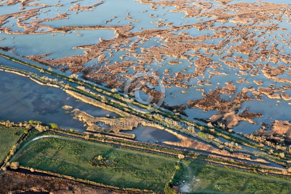 Vue aérienne des marais de Camargue