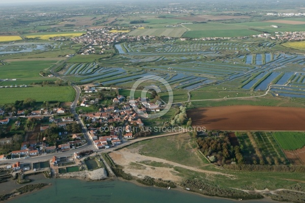 Vue aérienne des marais de la Guittière, Vendée 85