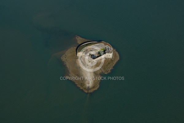vue aérienne du Fort Enet , Charente-Maritime 17