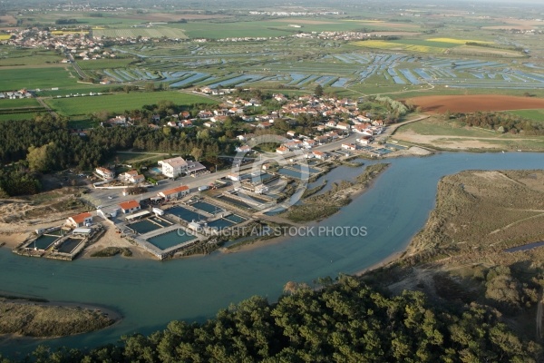 Vue aérienne du parc Ostréicole de la Guittière, Vendée 85