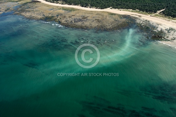 Vue aérienne polllution plage de Vert Bois à Dolus D Oléron