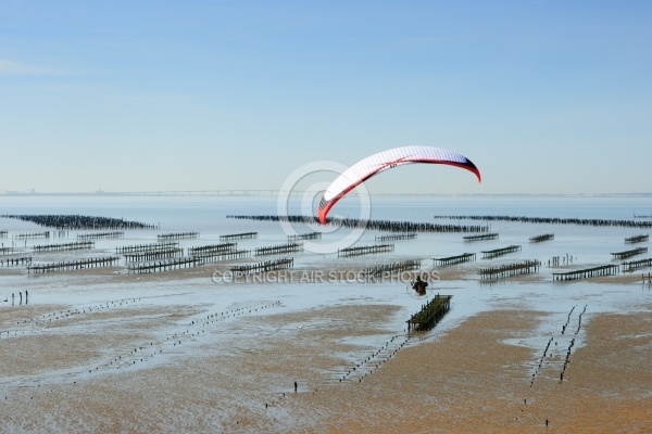 Vue en ULM des parcs ostréicoles de la pointe d Arçais  Vendée