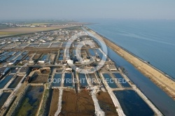 Zone ostréicol du polder de Bouin, Vendée 85