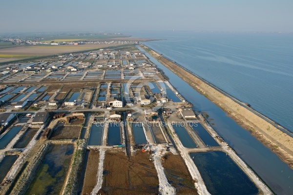 Zone ostréicol du polder de Bouin, Vendée 85