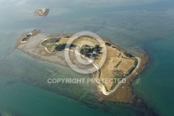 Île Iluric, commune de l Île-d Arz, du Golfe du Morbihan 56