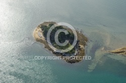 Îles Logoden , Golfe du Morbihan 56