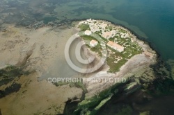 île de la Nadière, Port-la-Nouvelle